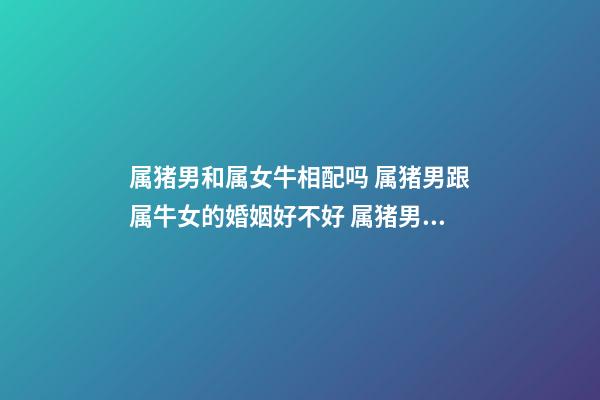 属猪男和属女牛相配吗 属猪男跟属牛女的婚姻好不好 属猪男和属牛女结婚合适吗-第1张-观点-玄机派